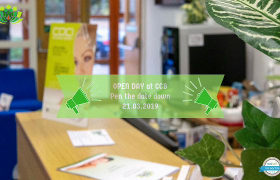 CCC Blog Pics 1