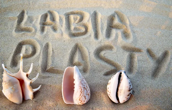 Labiaplasty Procedure